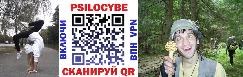 KRAKEN онион  купить наркоту  Мыски  Псилоцибиновые грибы MAGIC MUSHROOMS 